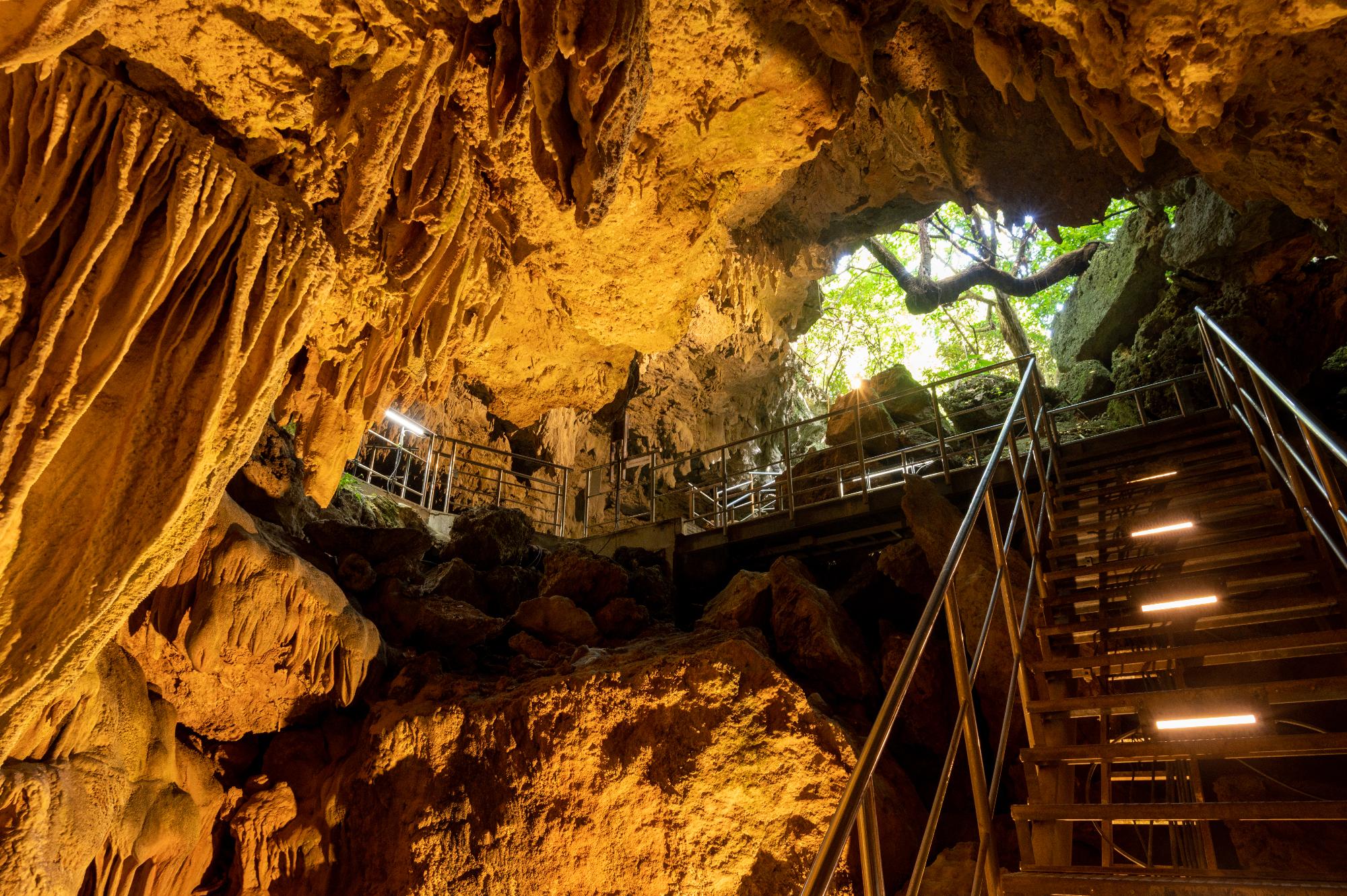 自動で点灯するライトに照らしだされた黄土色の乳石や白っぽい石筍が伸びている鍾乳洞の写真
