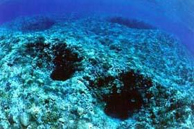 青く澄んだ海水と海底遺跡と呼ばれている岩を撮影した海底写真